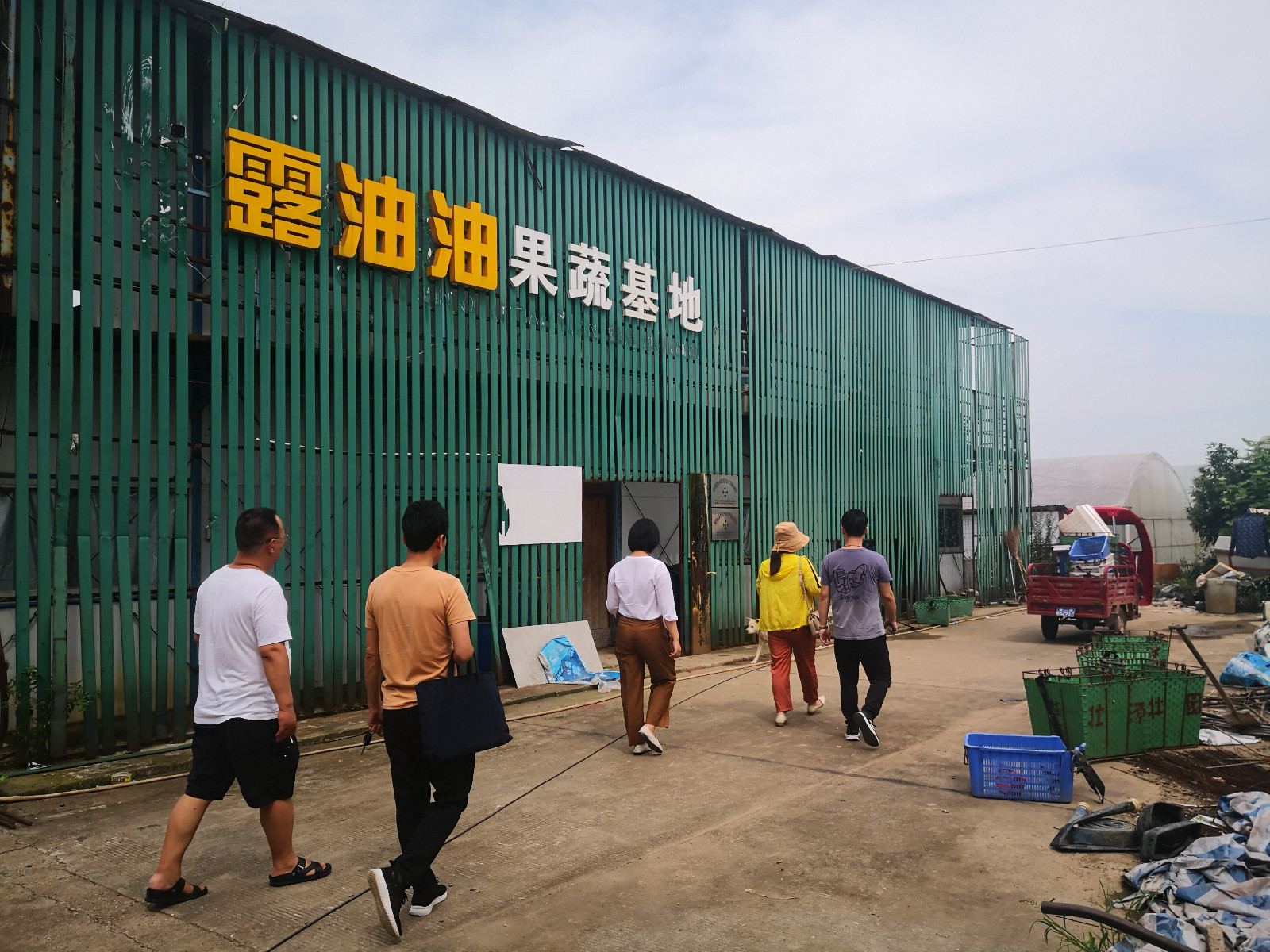 【我为群众办实事】农业执法筑牢农产品质量安全防护网