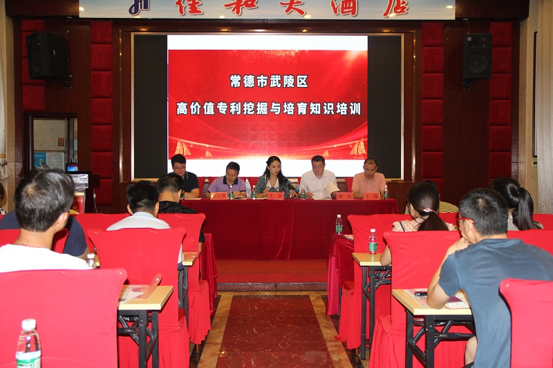 武陵区举办“专利挖掘和高价值专利培育” 专题培训