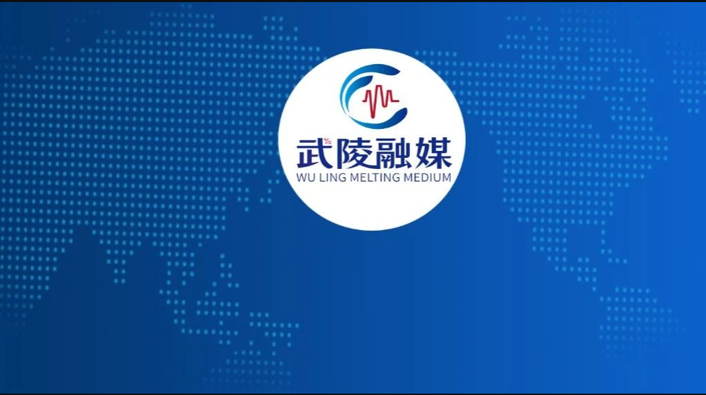 武陵区2021年公开招聘教师公告