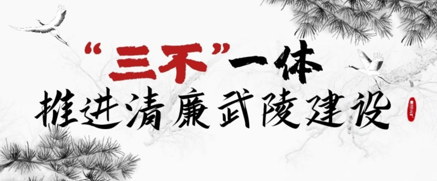 “三不”一体推进清廉武陵建设