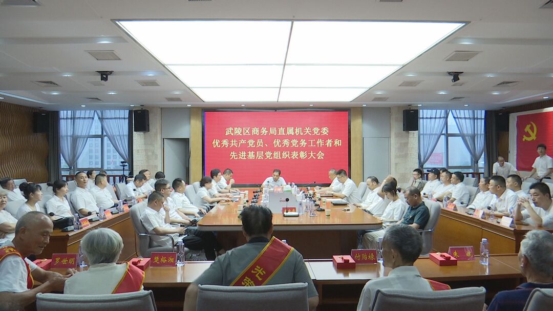 武陵区商务局举行“两优一先”表彰大会