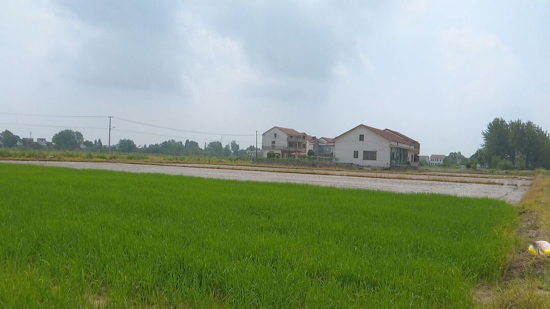 我为群众办实事 芦荻山乡：完善田间基础设施  提升农业综合生产能力
