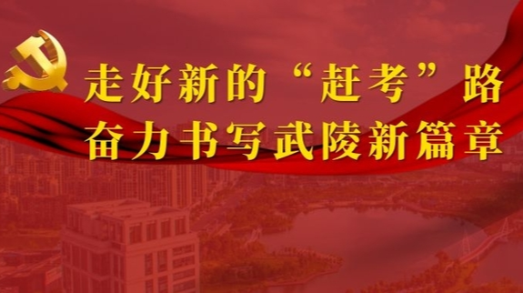 《湖南日报》今日刊发武陵区委书记康少中署名文章