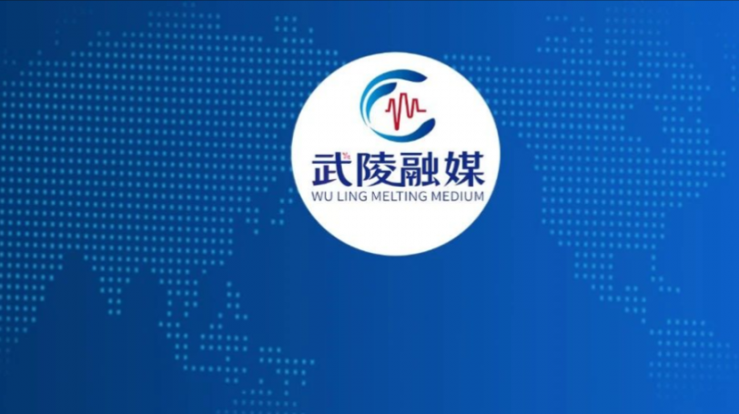 武陵区发布“七不准”纪律要求护航疫情防控