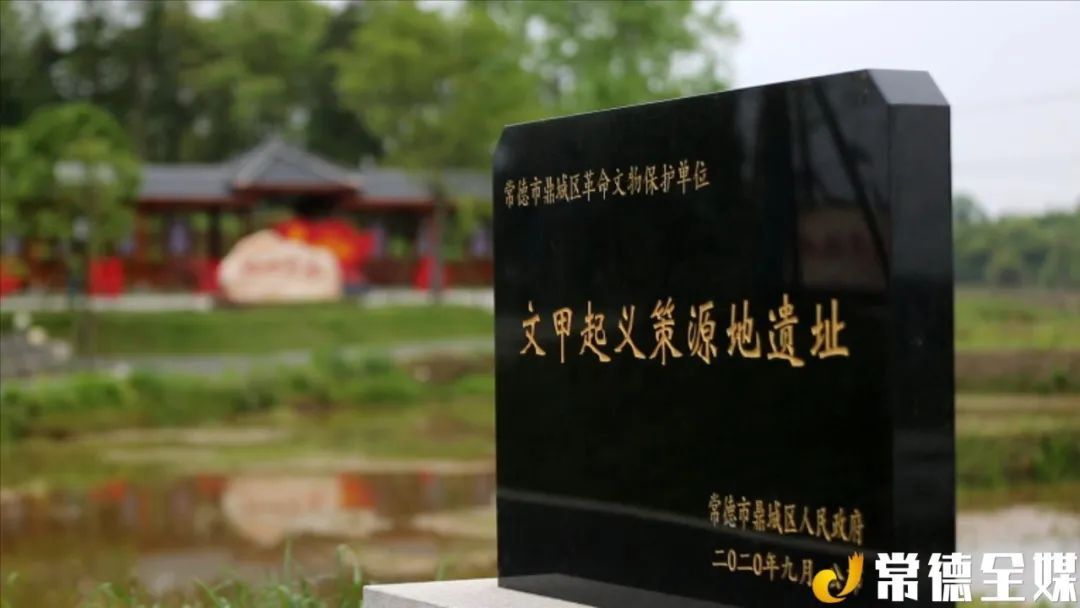 今天中午！央视聚焦常德这地，这人…