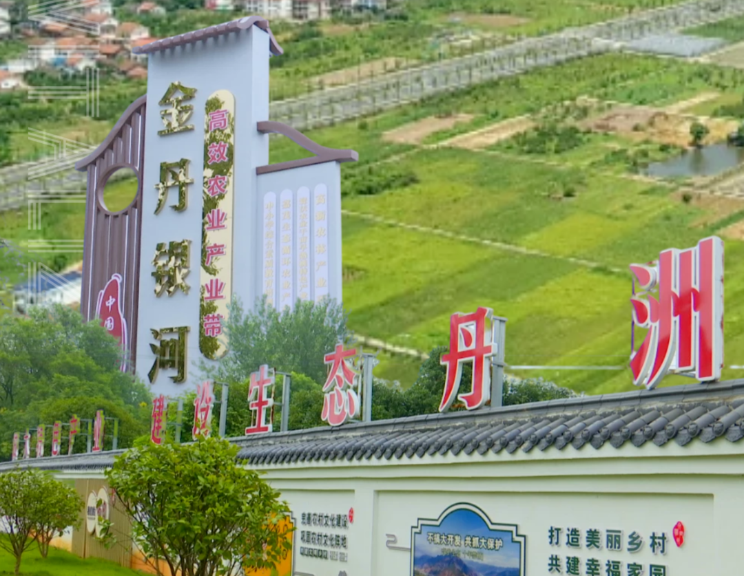 乡村振兴正当时