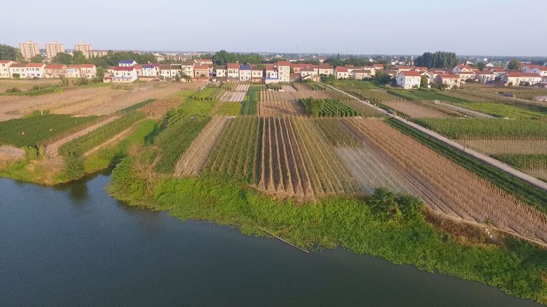 砥砺奋进铸辉煌 东江街道：让高质量发展与增进民生福祉同频共振