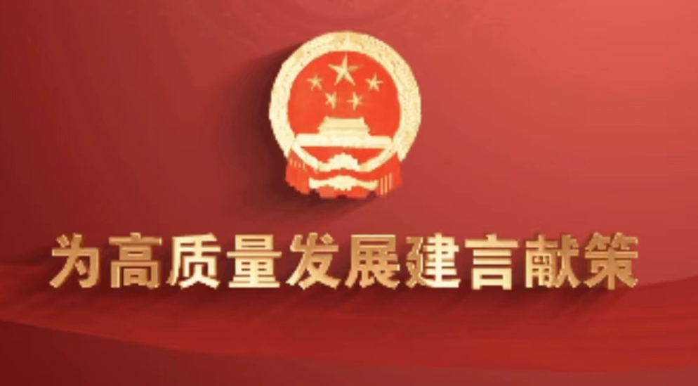 为高质量发展建言献策