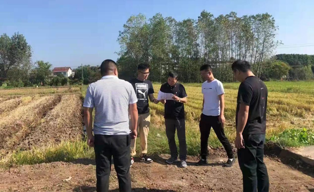 【我为群众办实事】河洑镇：高标准实施 乡村振兴项目验收工作