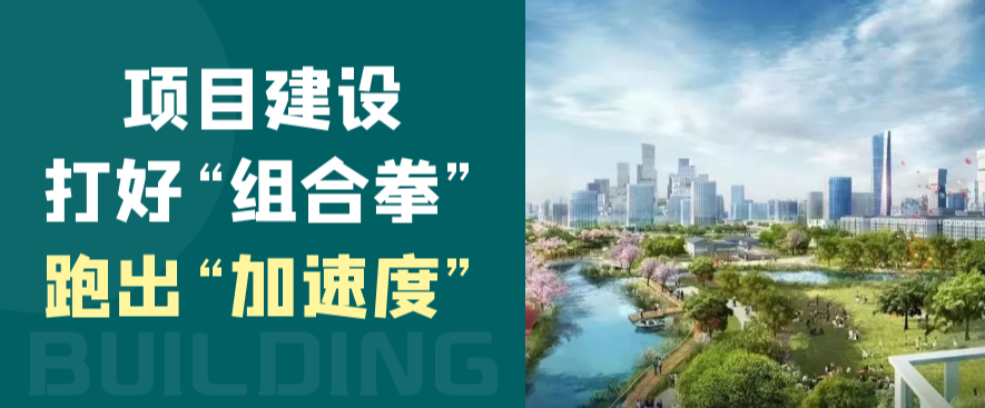 项目建设打好“组合拳” 跑出“加速度”