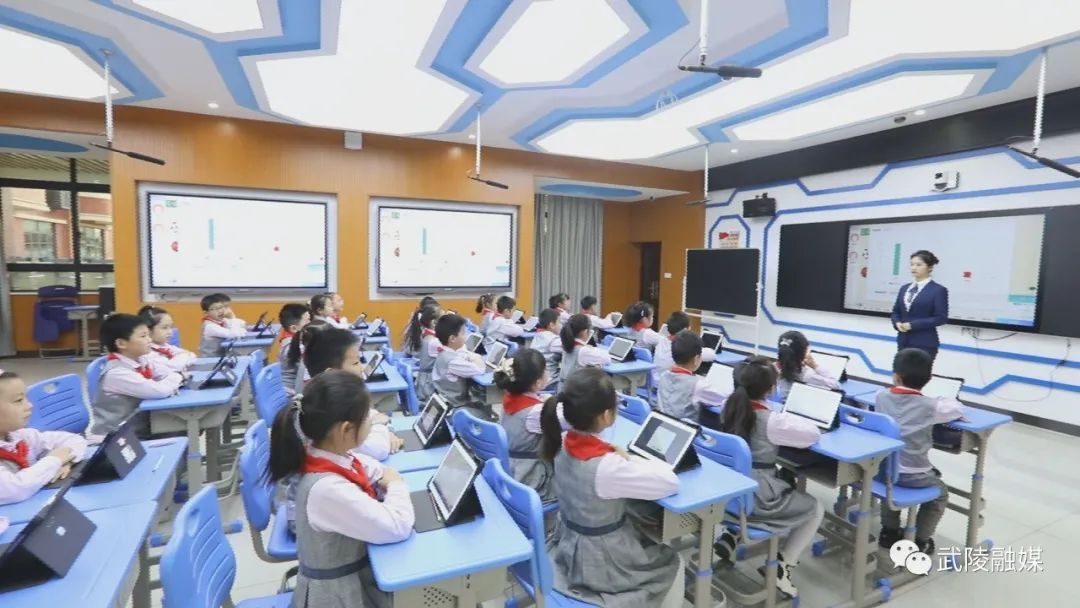 武陵区：全面落实“双减”政策 推动教育提质增效