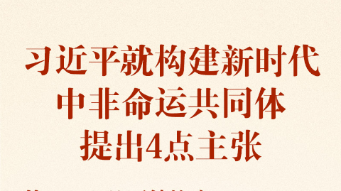 构建新时代中非命运共同体 习近平提出4点主张