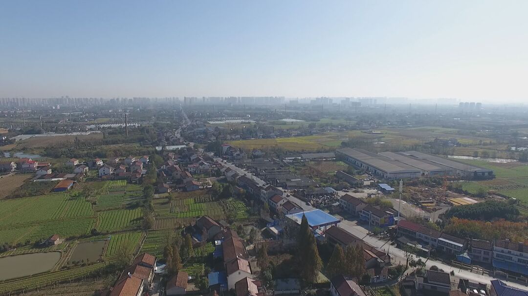 河洑镇南湖社区：党建引领 凝聚环境整治合力