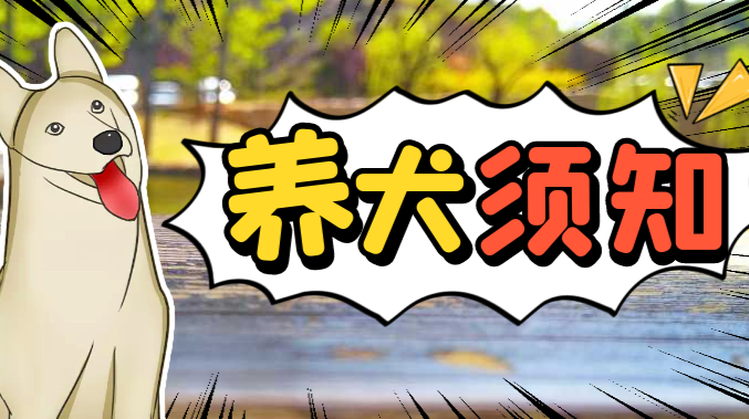 常德市养犬管理条例