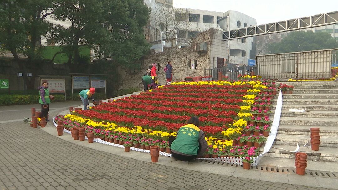 市园林绿化服务中心：鲜花扮靓城市 喜迎新春佳节