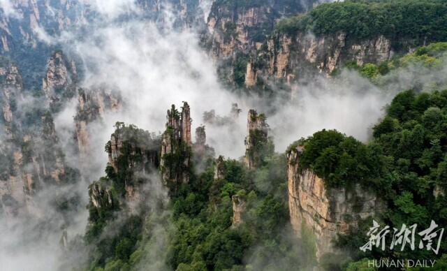 张家界市竞选词｜承办省旅发大会，我有龙头优势