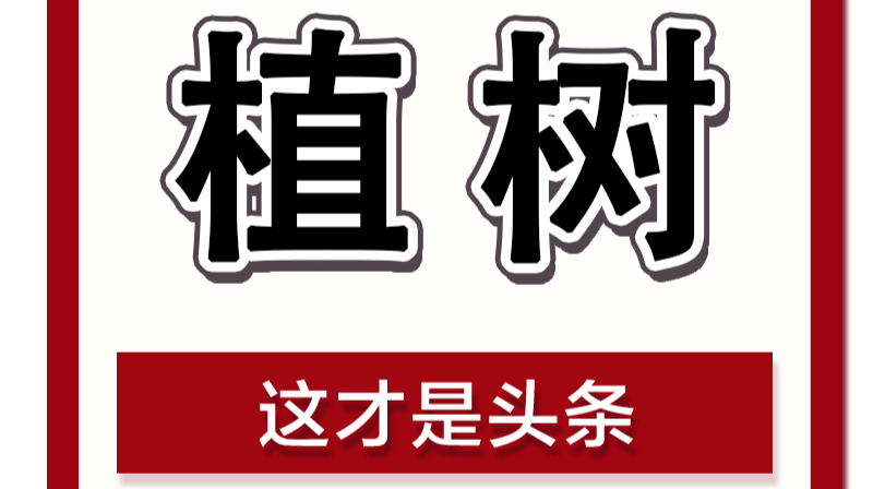 植树节 |植此青绿，和春天的约会
