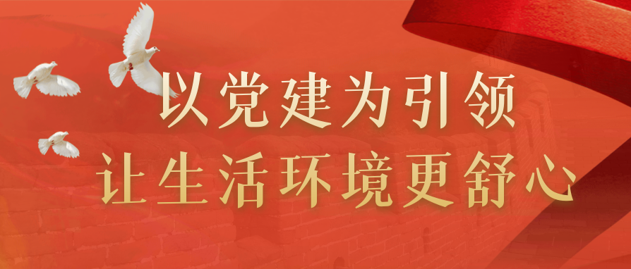 以党建为引领 让生活环境更舒心