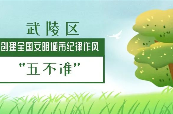 武陵区创建全国文明城市纪律作风“五不准”