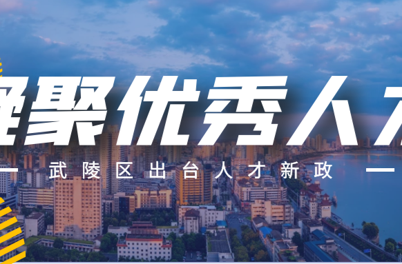 武陵区出台人才新政，倾力打造引才聚才“强磁场”