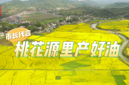 发展油菜种植 丰富湖南“油瓶子” ——专访常德市委副书记、市长周振宇