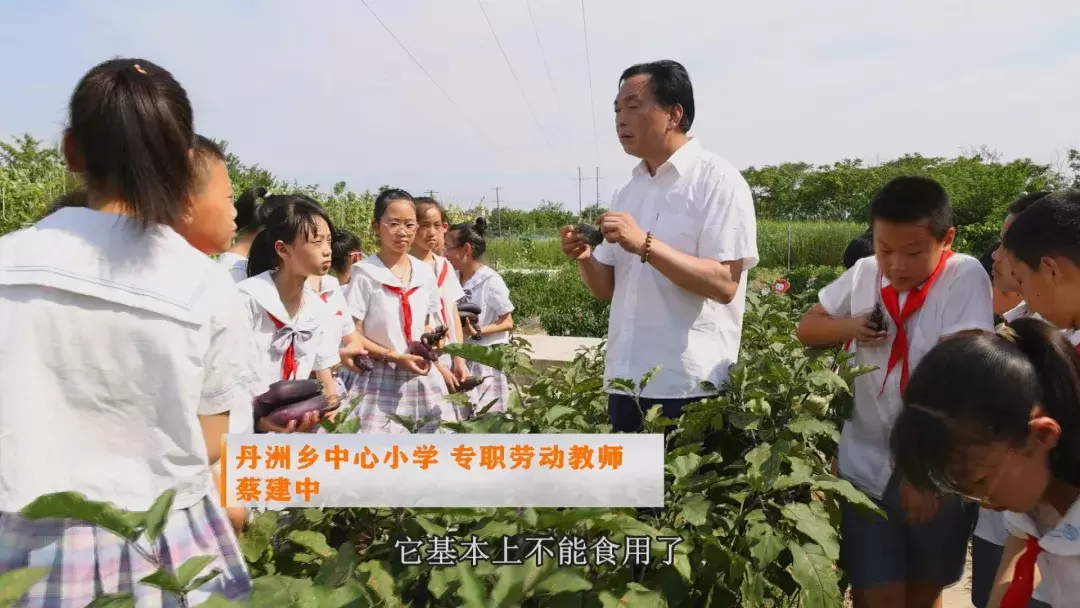 “双减”下的期末  村小孩子迎来果蔬“大丰收”
