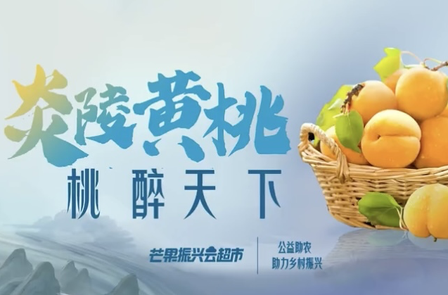 乘风破浪的姐姐品味炎陵黄桃：“果”然有味 “桃”醉一夏