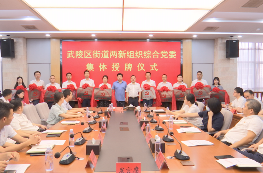 武陵区实现街道两新组织综合党委全覆盖