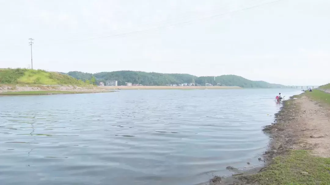 河洑镇南湖社区：抗旱保灌 为民“解渴”