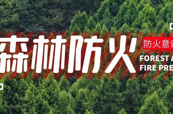 武陵区发布森林防火禁火令，严禁这些行为→