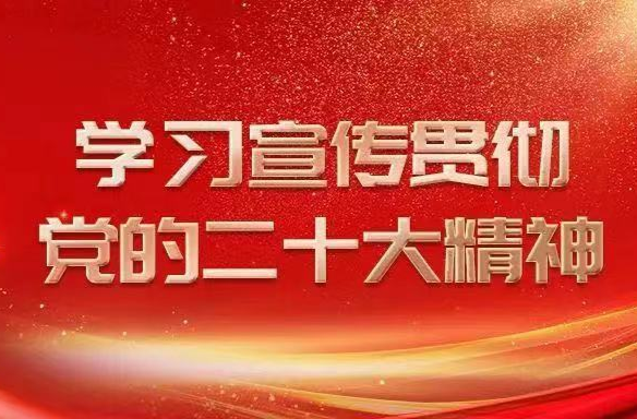 湖南代表团举行分组会议 讨论习近平同志在党的二十大上所作的报告
