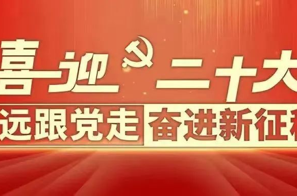一图速览二十大报告