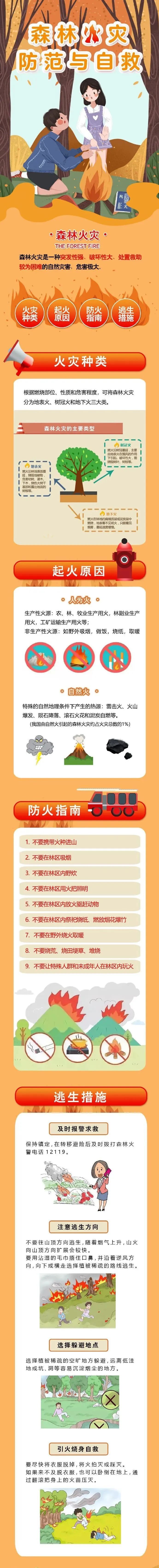 森林防火指南，看这里！