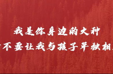 森林防火 | 玩火玩出的火患