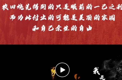 森林防火 | 农田焚出的火患