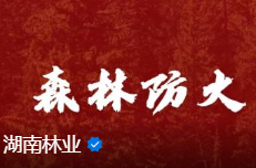 森林防火 | 祭祀烧出的火患