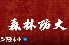 森林防火 | 指间丢出的火患