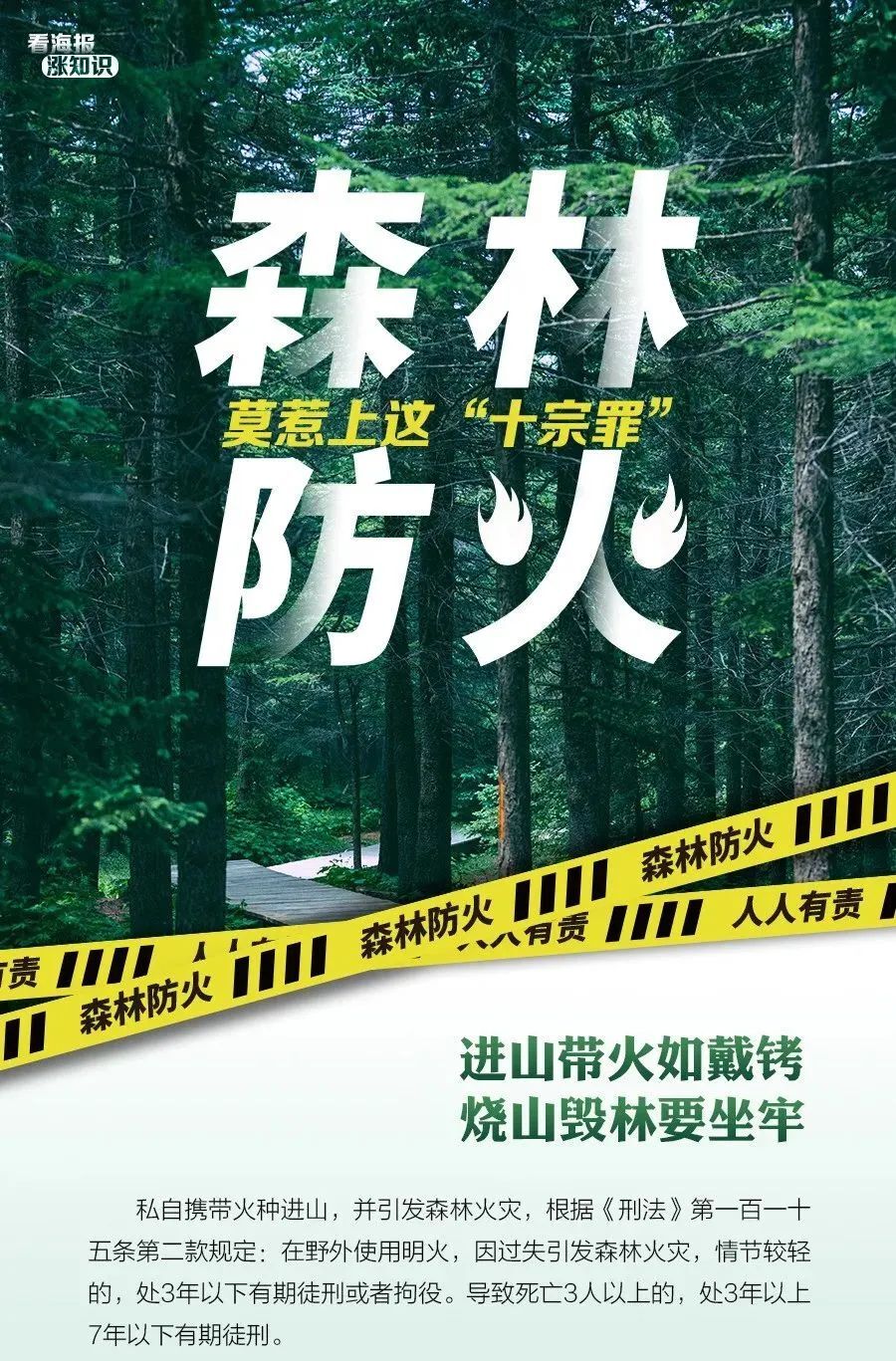 森林防火形势严峻！莫惹上这“十宗罪”！