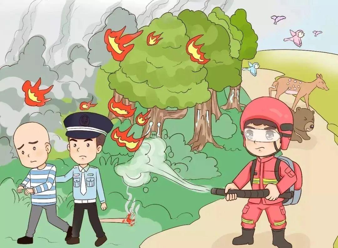 防火于未“燃”！这些森林防火常识要牢记