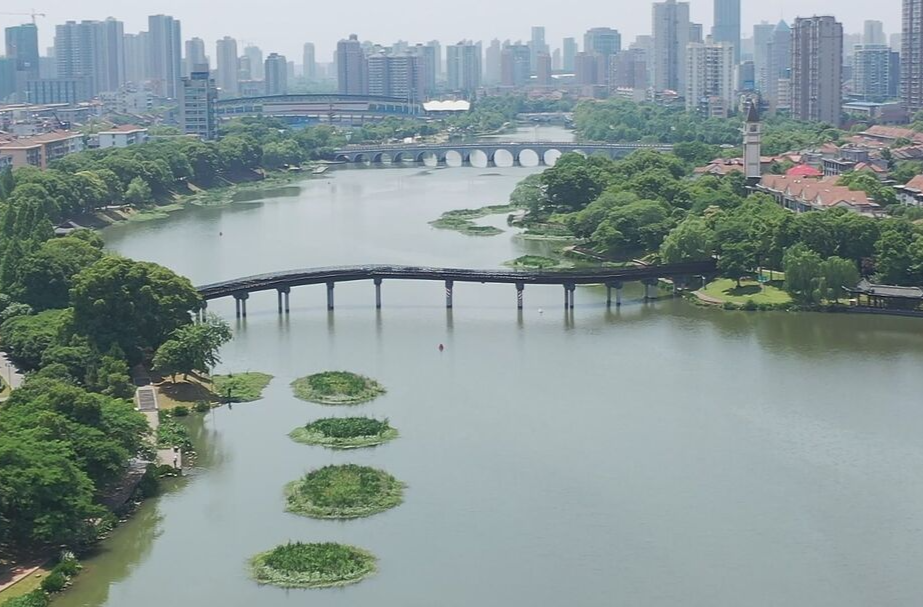 湖南：发布2022年森林防火命令 将依规依纪依法严肃追责问责