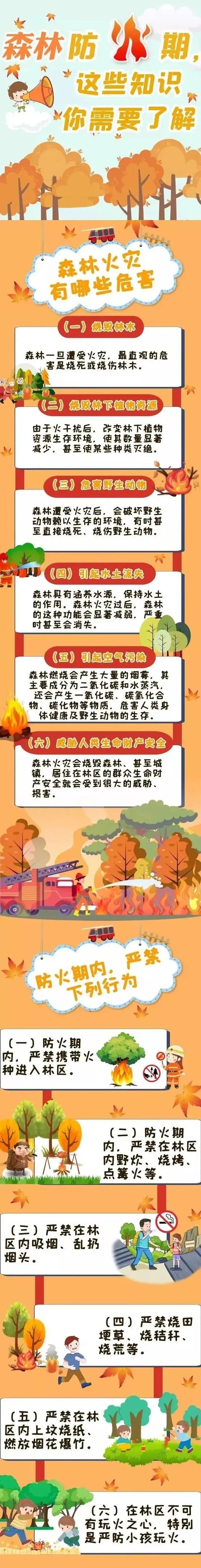 森林防火期，这些知识你需要了解！