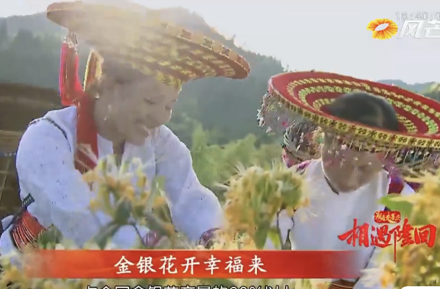 新春走基层 相遇隆回｜干•振兴路上的隆回