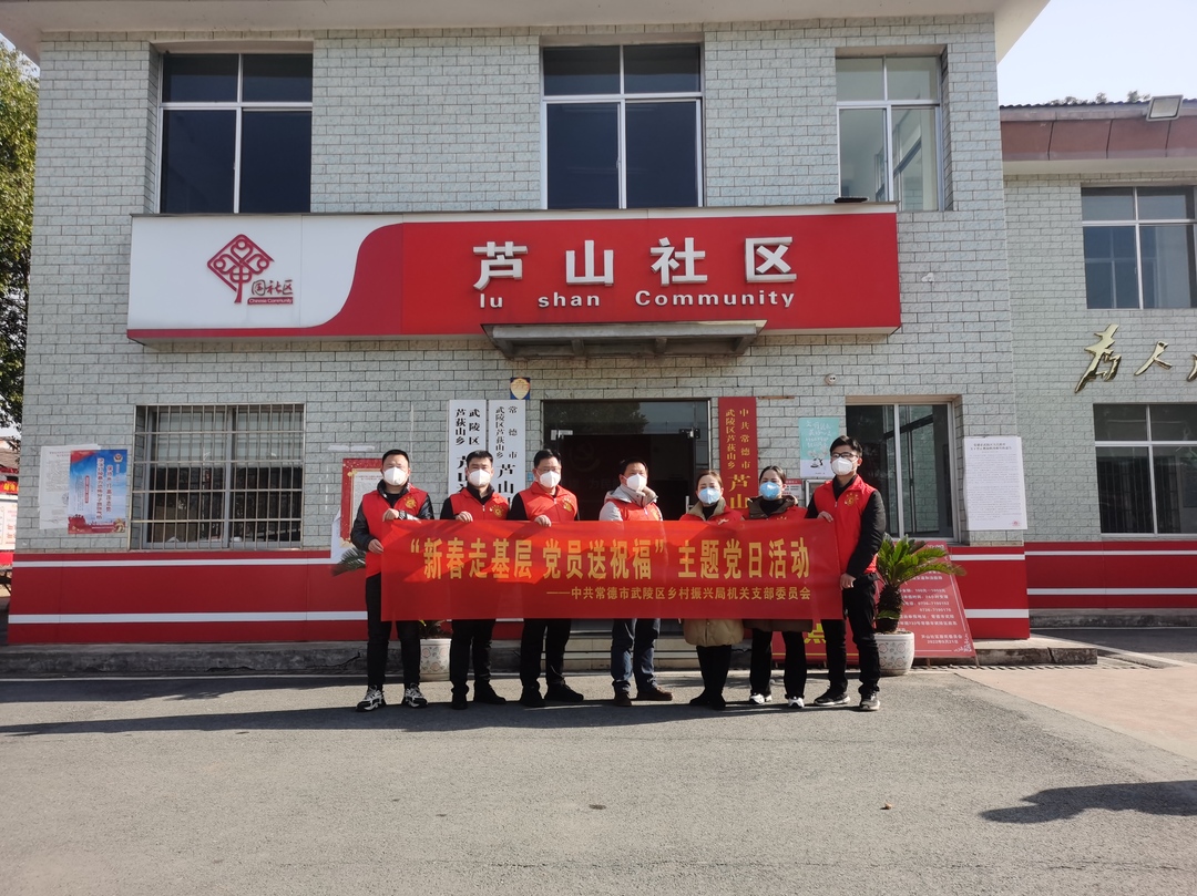武陵区开展“新春走基层 党员送祝福”主题党日活动