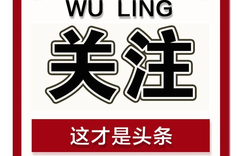 520·来武陵丨武陵区向“新”着力带旺消费