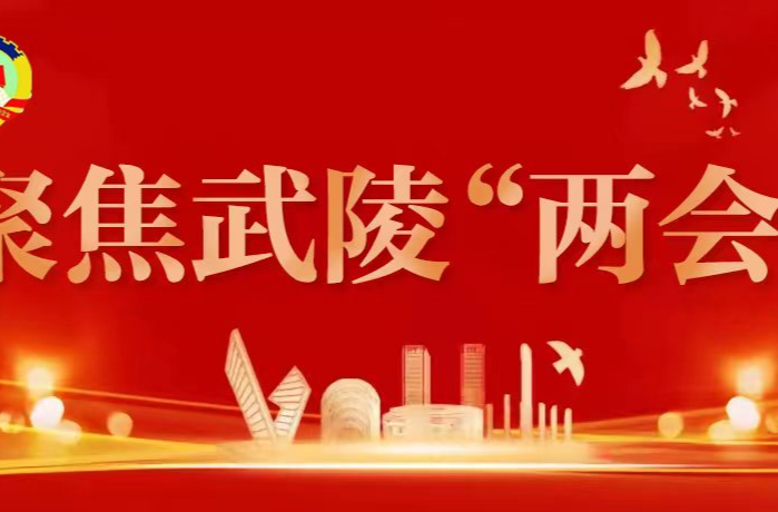 图解 | 2023武陵政府工作报告