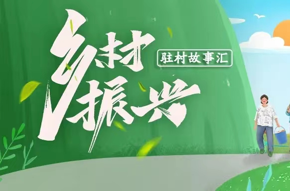 驻村故事汇 | 大关庙村的帮扶“三人组”忙不赢