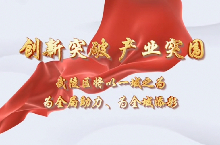 【创新突破 产业突围】武陵区部门、乡街一把手系列访谈（五）