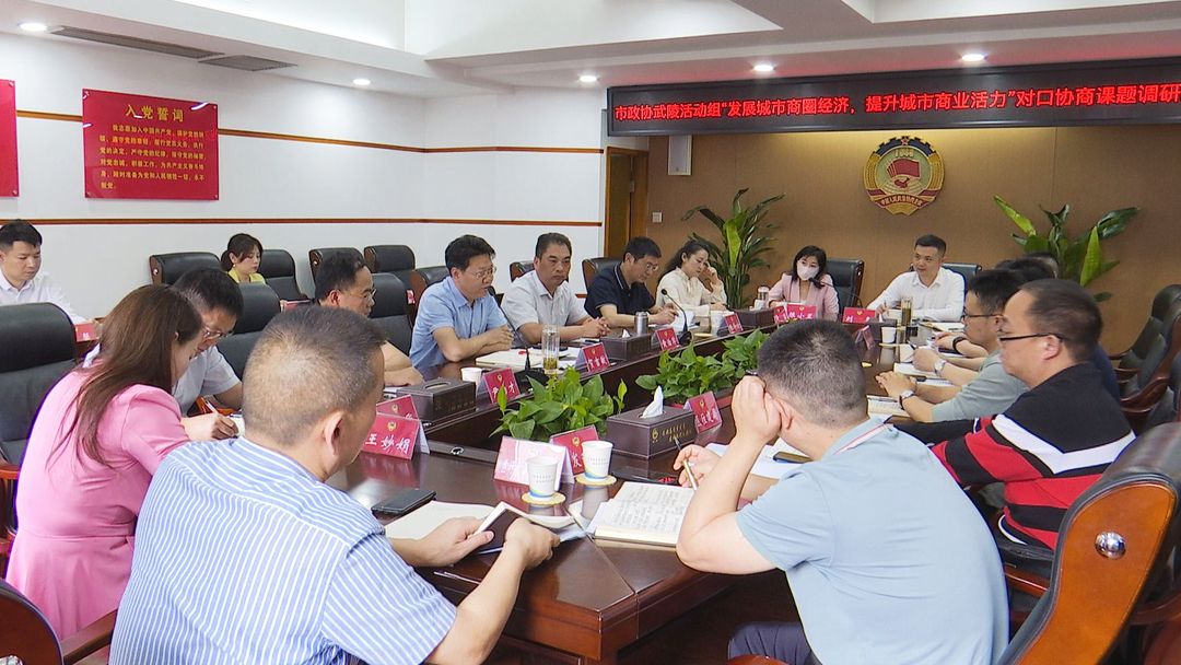 市政协武陵活动组召开“发展城市商圈经济，提升城市商业活力”对口协商课题调研座谈会