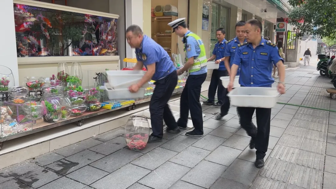 文明常德 爱在武陵 府坪街道：促进创文工作精细化  推动城市品质提档升级