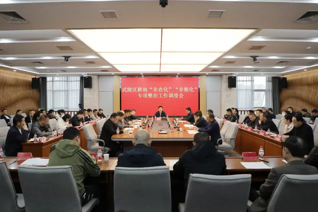武陵区召开耕地“非农化”“非粮化”专项整治工作调度会
